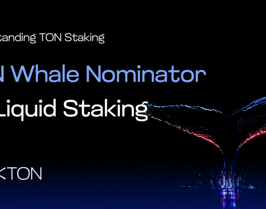 Understanding TON Staking: TON Whales Nominator vs. Liquid Staking
